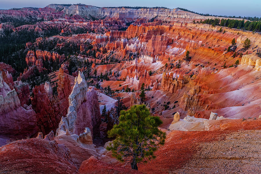 Bryce Canyon Photograph by Susan Candelario