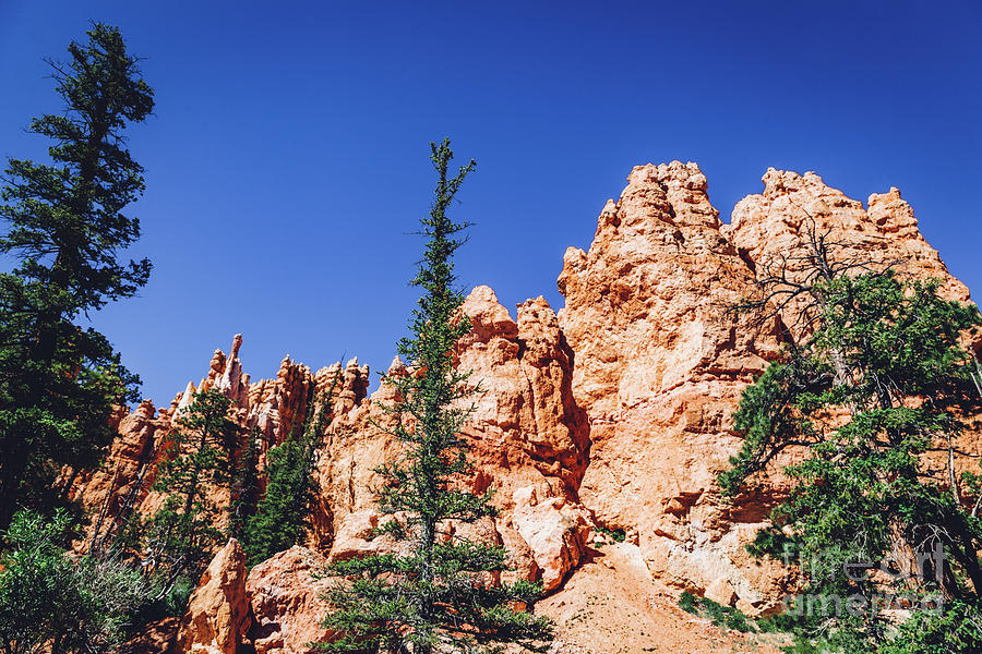 Bryce Canyon landscape, Utah, USA. #1 Photograph by Michal Bednarek