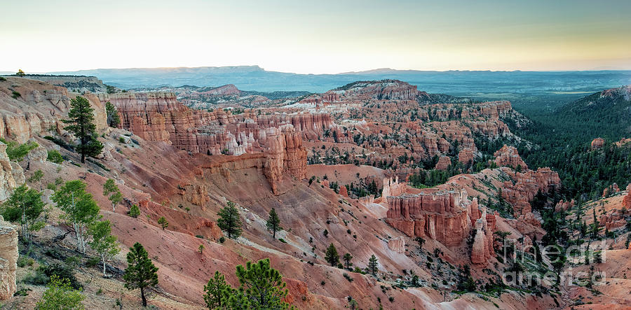 Bryce Canyon National Park  #1 Photograph by David Oppenheimer