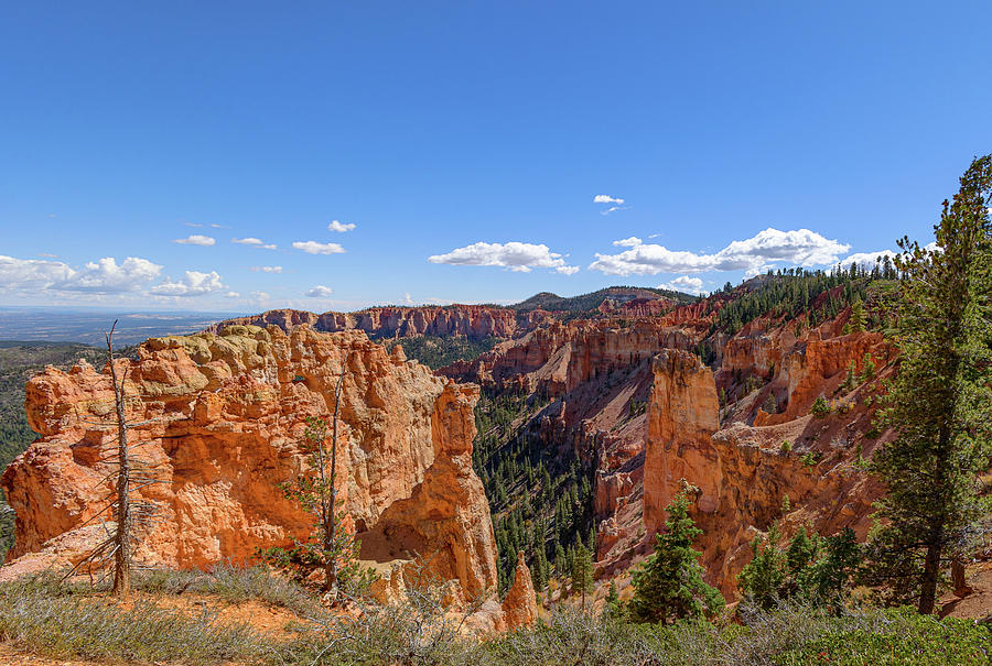 Bryce Canyon N.P.  G0A7909 Photograph by Stephen Parker