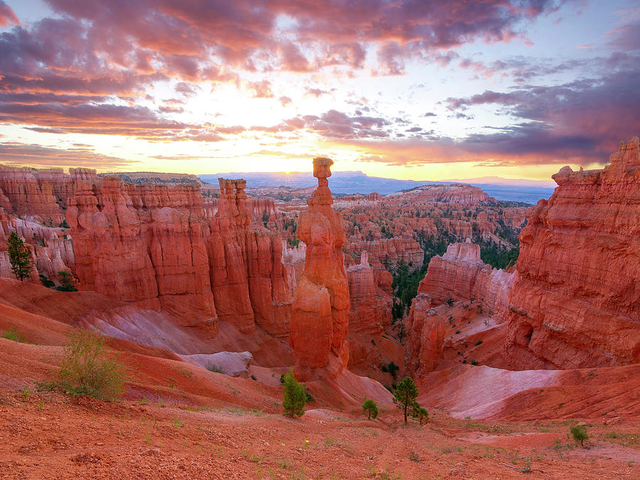 Bryce Canyon Sunrise #1 Photograph by Aaron Spong
