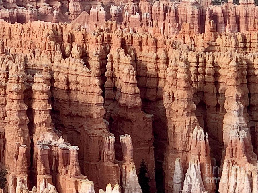 Bryce Canyon #1 Digital Art by Tammy Keyes