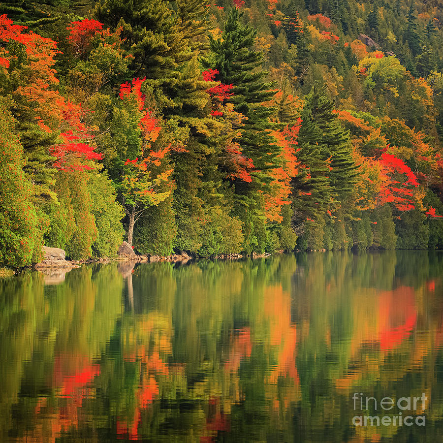 Bubble Pond in Acadia National Park #1 Photograph by Henk Meijer Photography
