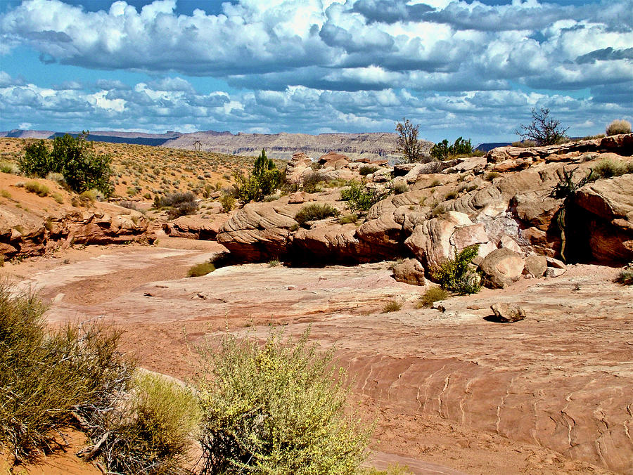 Bucktank Draw off Highway 89 North, Utah Photograph by Ruth Hager