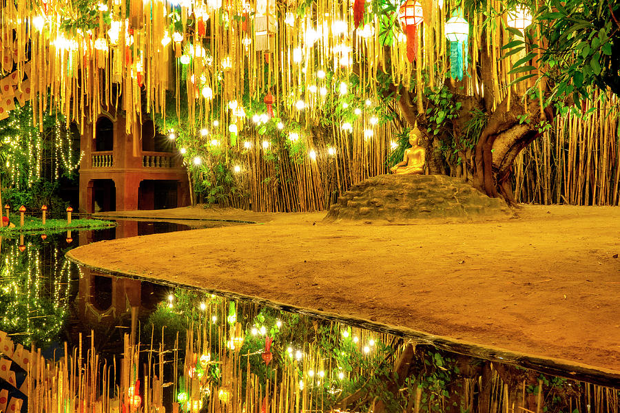 Buddha image sitting under a Bodhi tree #4 Photograph by Fabrizio Troiani