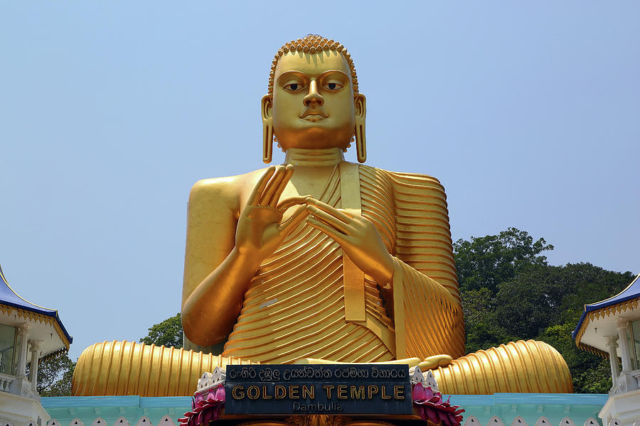 Buddha on Dambula golden temple in Sri lanka Photograph by Mikhail ...