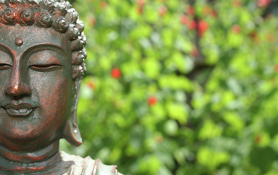 Buddha Statue in Outdoor Garden With Blurred Background Photograph by ...