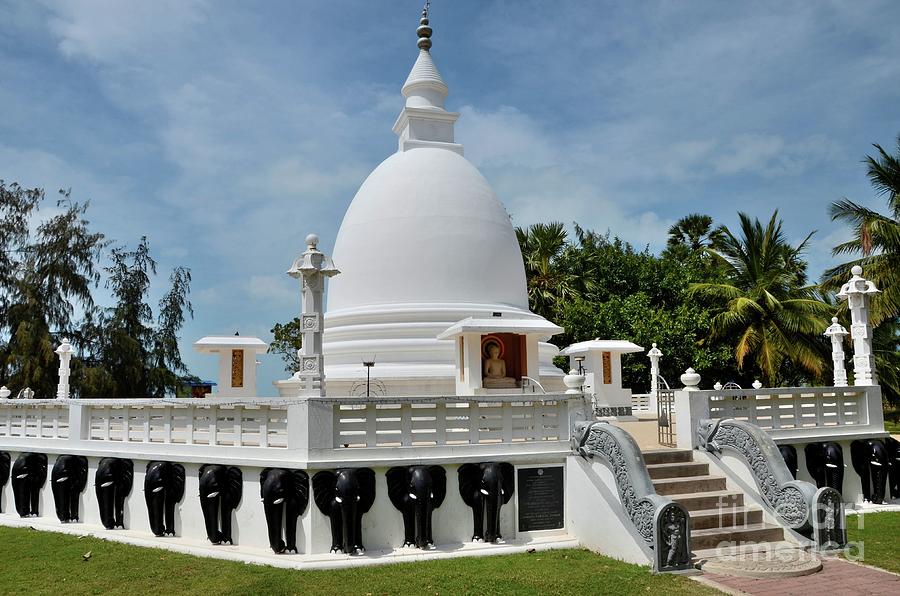 Buddhist stupa with Buddha statue at the Dambakola Patuna Sangamitta Temple complex Jaffna Sri Lanka #3 Photograph by Imran Ahmed