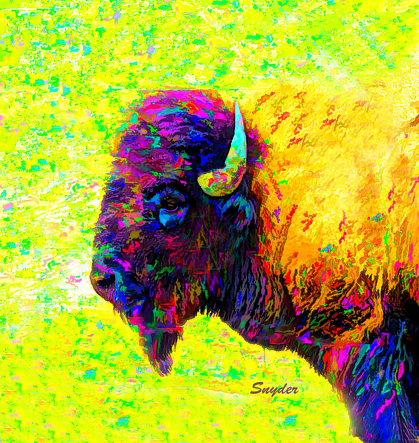 Buffalo Head #2 Digital Art by Barbara Snyder