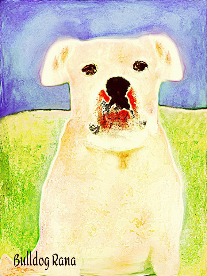 Bulldog Rana Art 83 Digital Art by Miss Pet Sitter