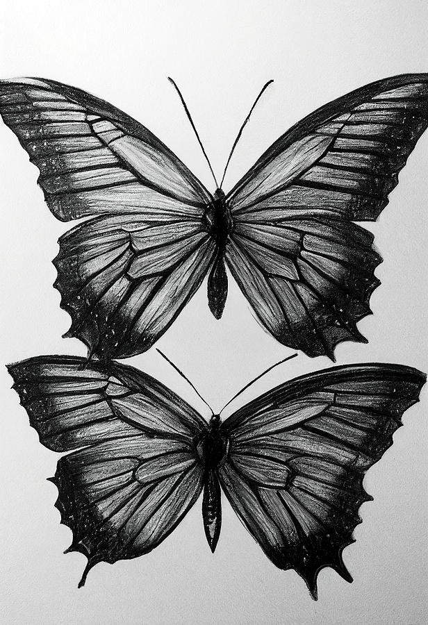 Butterflies - Charcoal Art Mixed Media by Baambara Art - Fine Art America