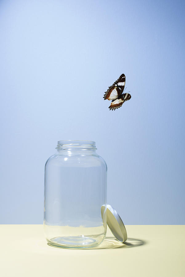 Butterfly escaping jar #1 Photograph by PM Images
