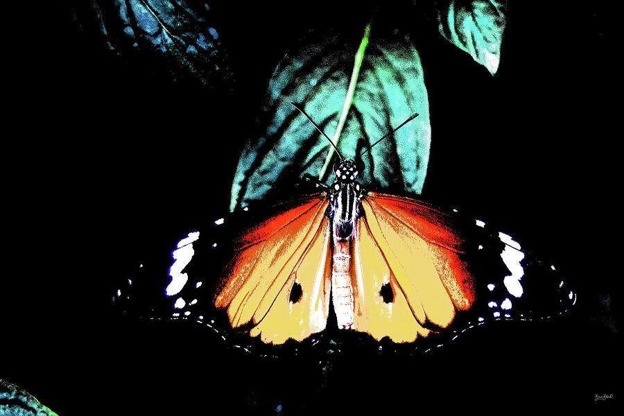 Butterfly Garden #1 Digital Art by Bruce Block Butterfly Garden #1 Digital Art by Bruce Block