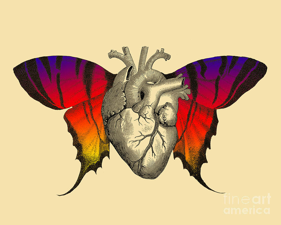 Butterfly Digital Art - Butterfly Heart #1 by Madame Memento