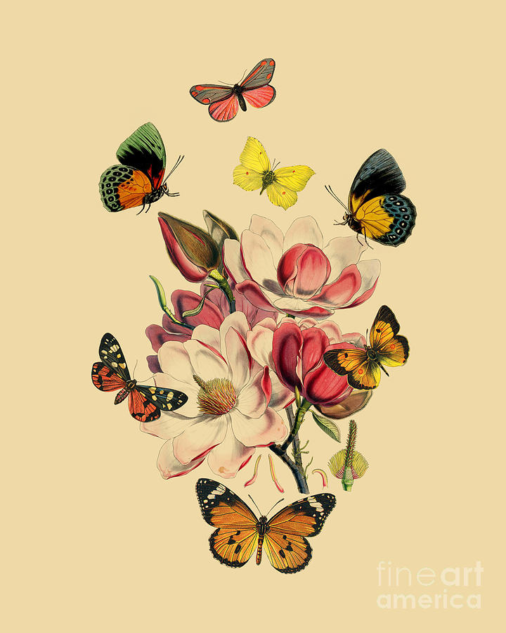 Magnolia Movie Digital Art - Butterfly Magnolia #1 by Madame Memento