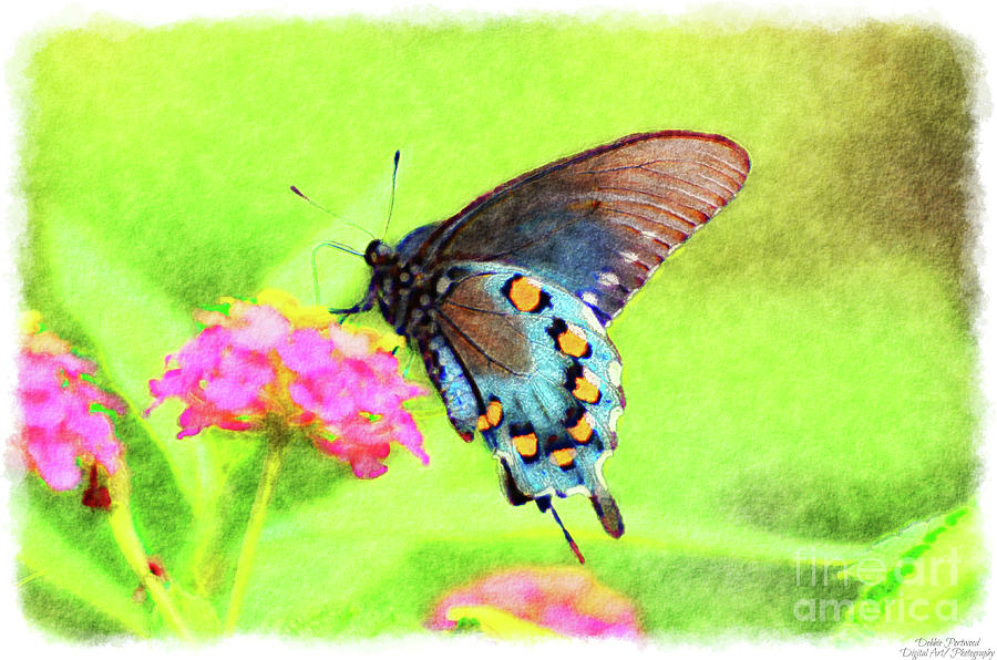 Butterfly on Lantana - Digital effect #1 Mixed Media by Debbie Portwood