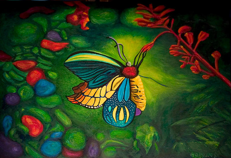 Two Beautiful Butterflies by Gloria Moody