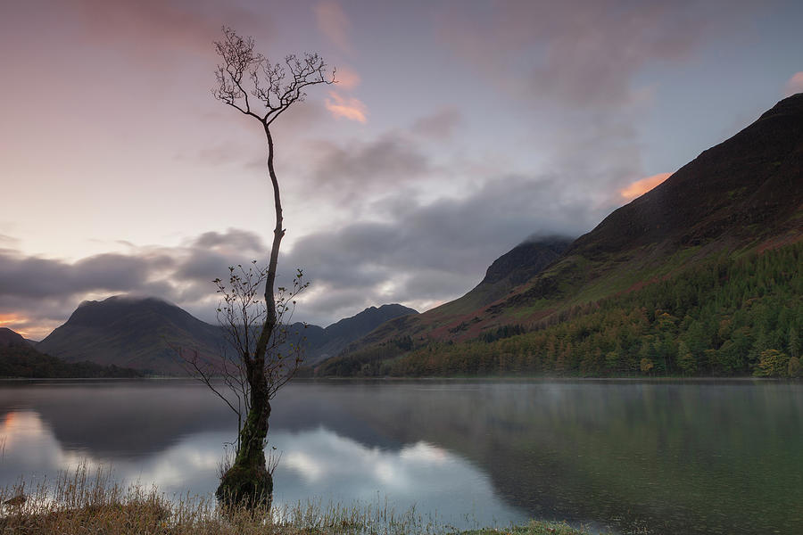 Buttermere Sunrise #1 Photograph by Nick Atkin