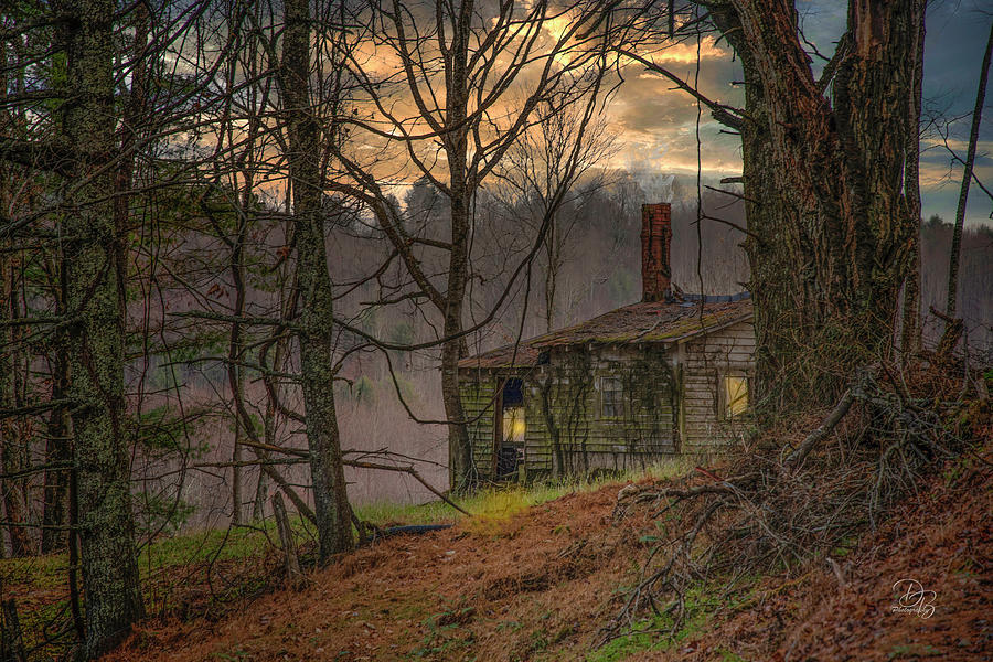 Cabin in the Woods #1 Photograph by Debra Boucher