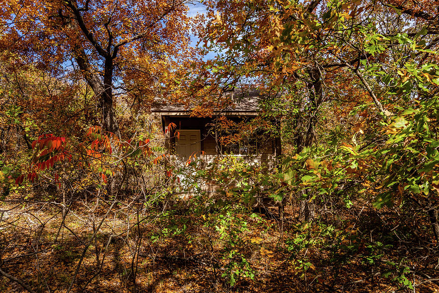 Cabin in the woods. #1 Photograph by Doug Long