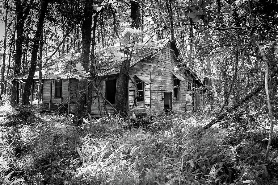 Cabin In The Woods #2 Photograph by Louis Ferreira