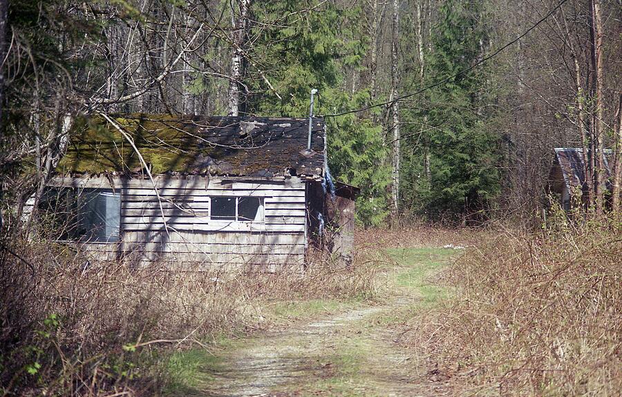 Cabin in the Woods Near Hope BC #1 Photograph by Lawrence Christopher