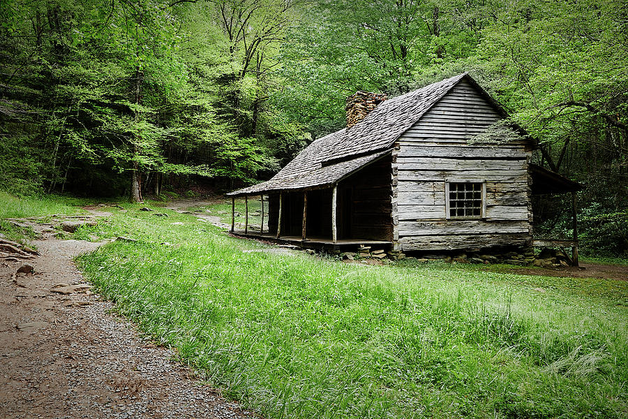 Nature Photograph - Cades Cove Cabin #1 by Jon Glaser