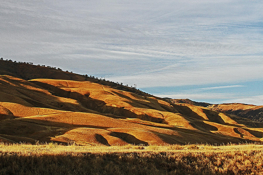 California Grasslands  #1 Digital Art by Tom Janca