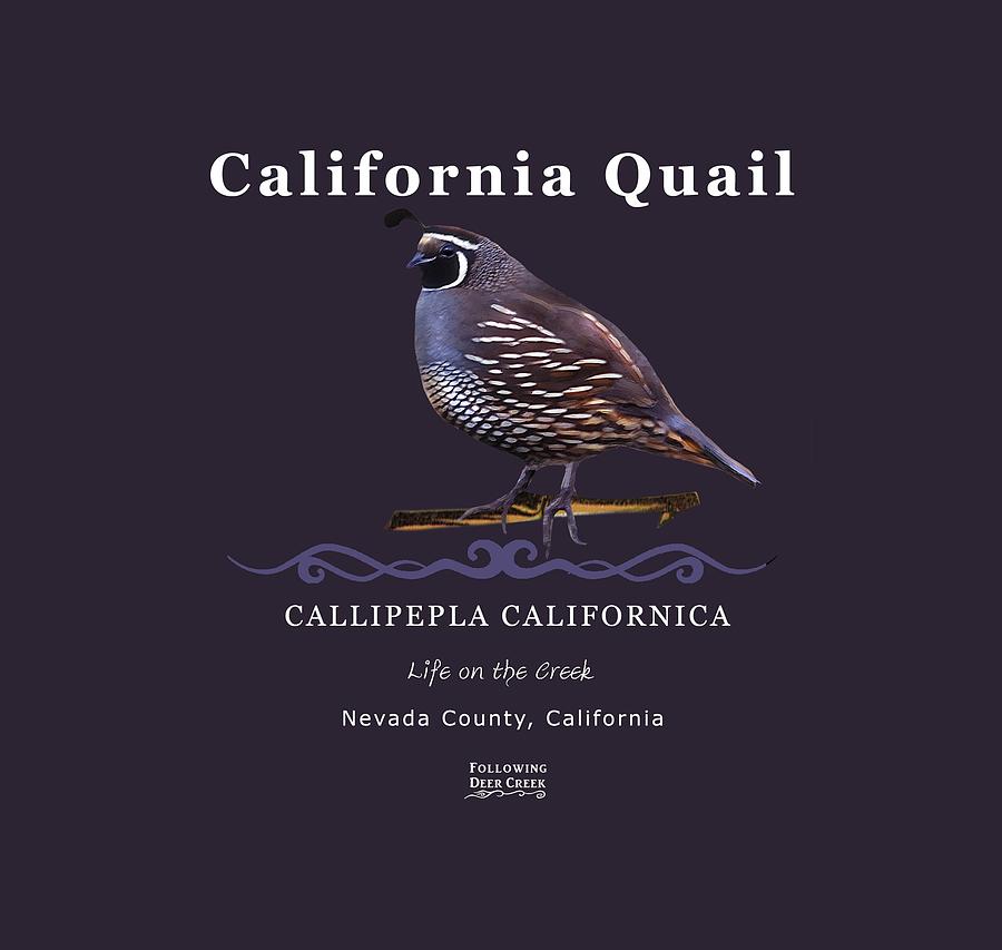California Quail #1 Digital Art by Lisa Redfern