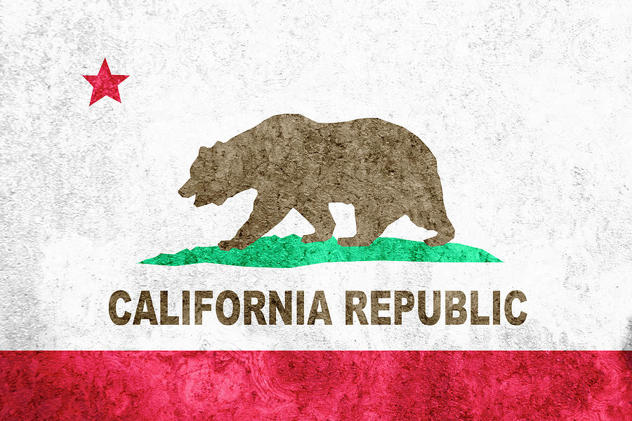 California State Flag Photograph