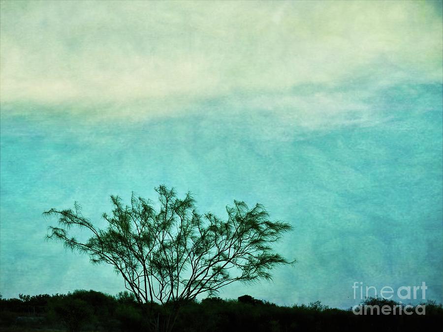 Calm Before The Storm Photograph By Gary Richards Fine Art America 3443