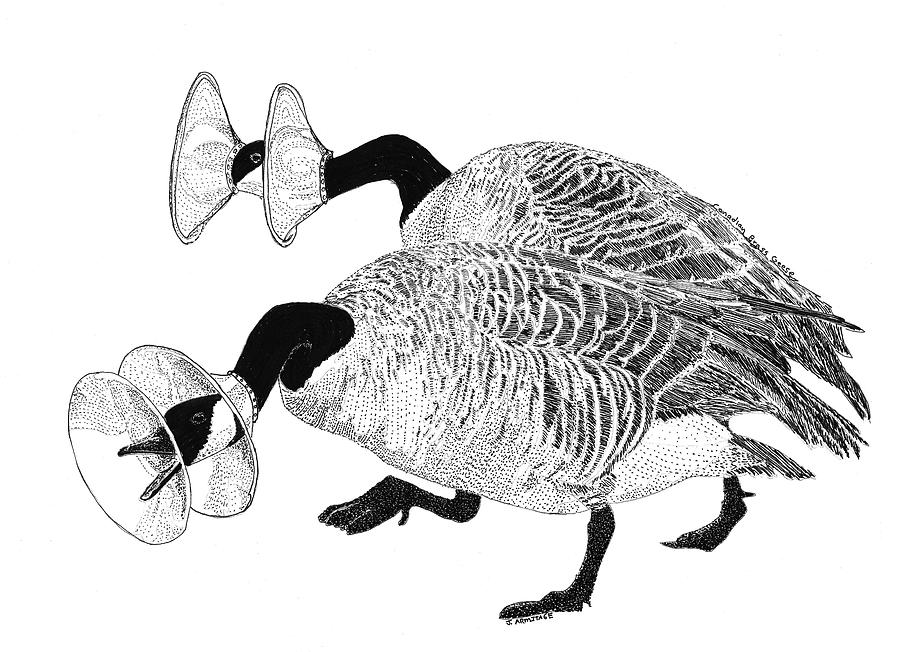 Canadian Brass Geese #1 Digital Art by Jenny Armitage