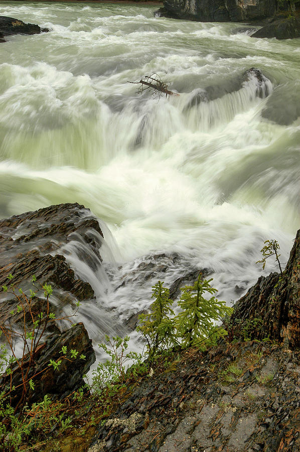 Canadian Rapids, Canada #1 Photograph by Mark Llewellyn