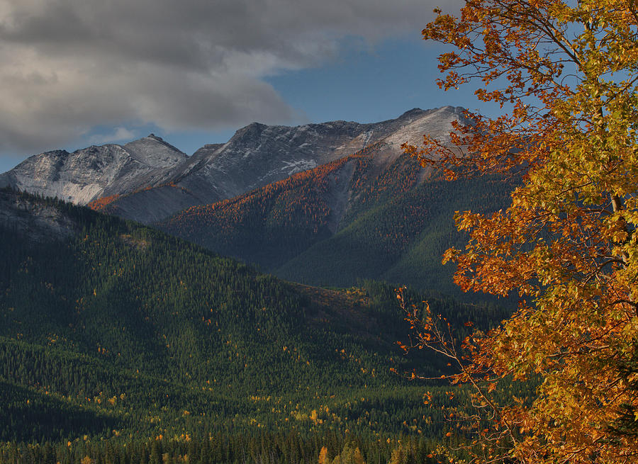 Canadian Rockies Autumn #2 Photograph by Stephen Vecchiotti