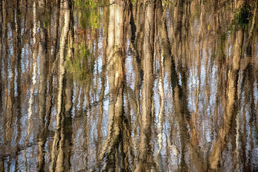 Canal Reflections Photograph