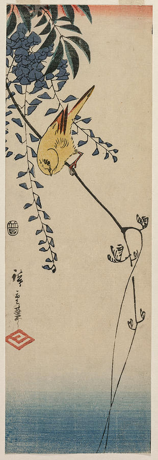 Utagawa Hiroshige Drawing - Canary and Wisteria #1 by Utagawa Hiroshige