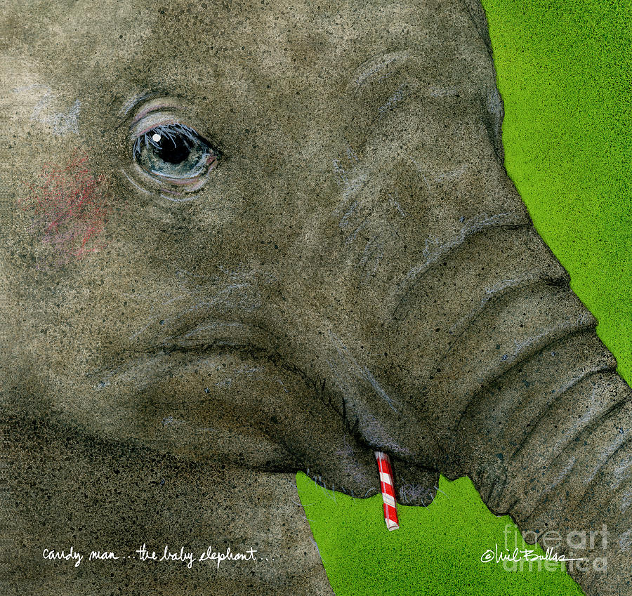 Candy Man... The Baby Elephant... #1 Painting by Will Bullas