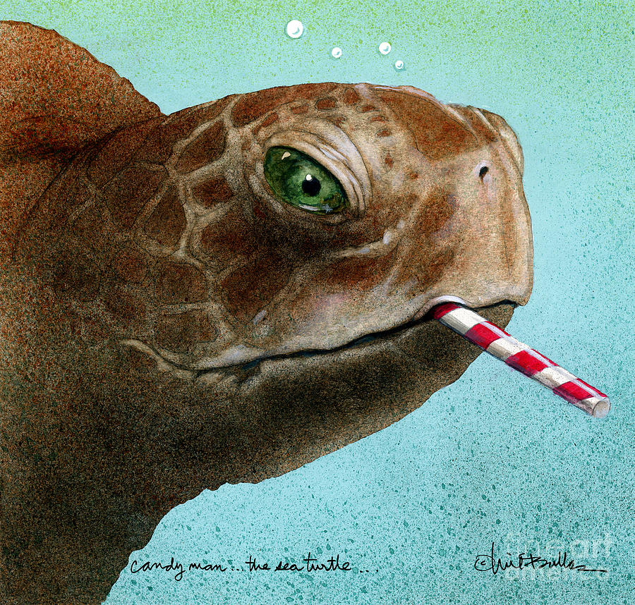 Candy Man... The Sea Turtle... #1 Painting by Will Bullas