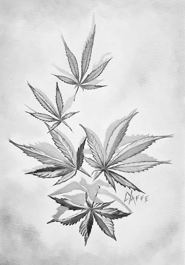 Cannabis Leaves In Black And White Digital Art