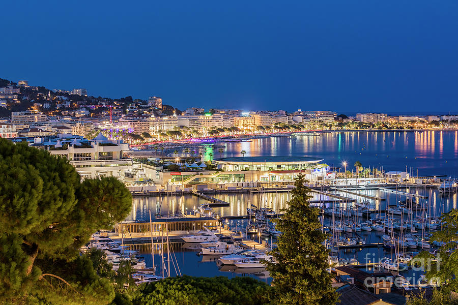 Result cannes night