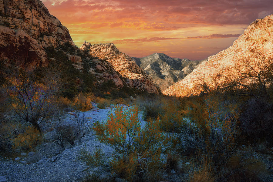 Nature Photograph - Canyon Trail Sunset #2 by Frank Wilson