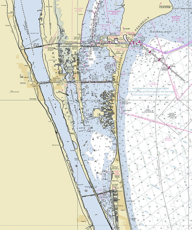 Cape Canaveral South Florida Nautical Chart Digital Art by Sea Koast