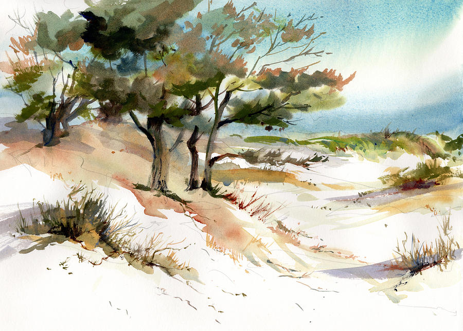 Cape Dunes #1 Painting by P Anthony Visco