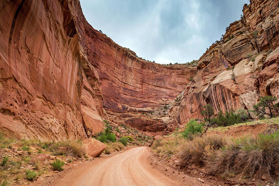 Capitol Reef Canyon Drive #1 Photograph by Pierre Leclerc Photography