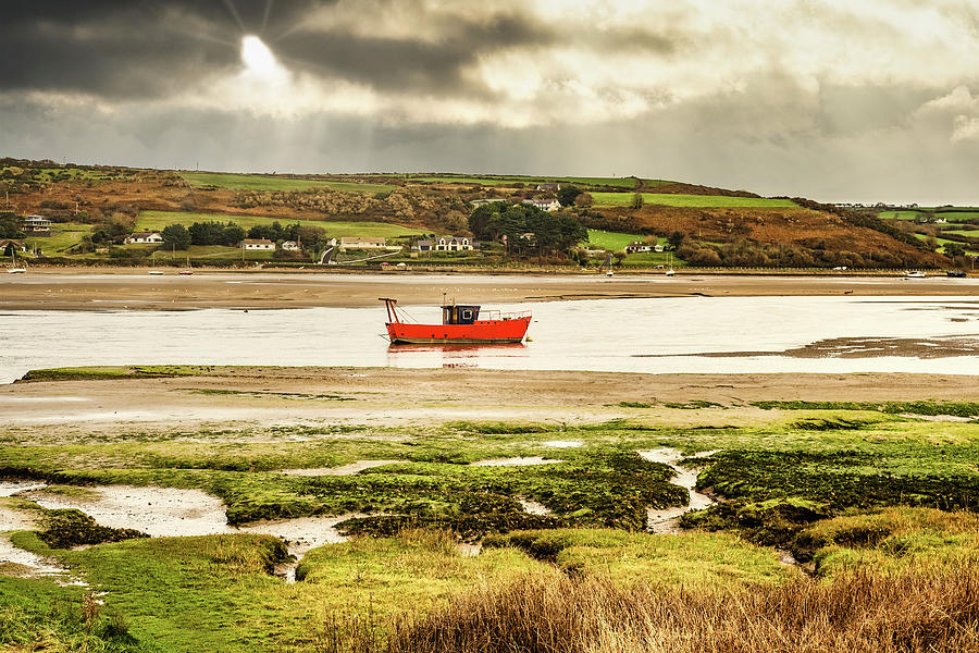 Cardigan Estuary #1 Photograph by Mark Llewellyn