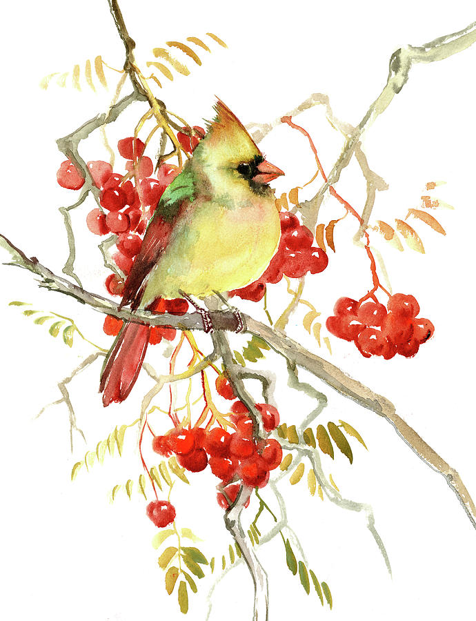 Cardinal Bird and Berries #1 Painting by Suren Nersisyan