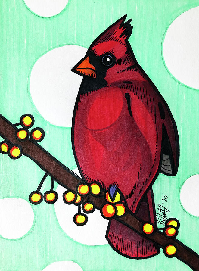 Cardinal Drawing by Creative Spirit