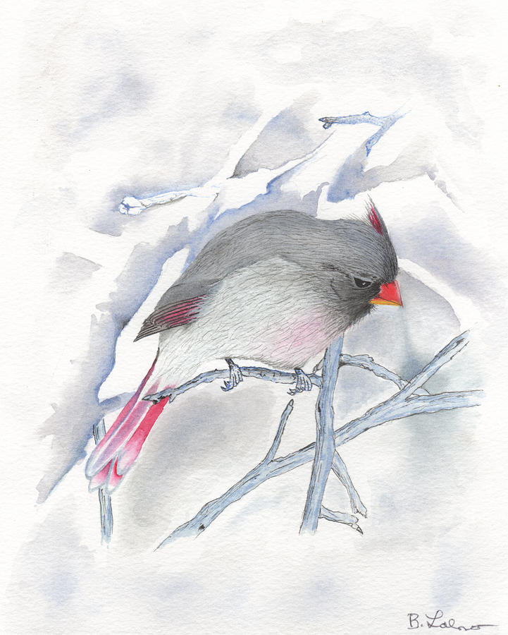 Cardinal Female in the Snow #1 Painting by Bob Labno