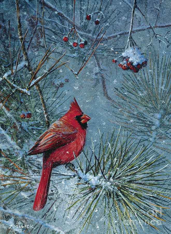 Cardinal #1 Painting by Scott Zoellick