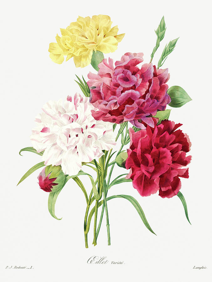 Carnations #1 Painting by World Art Collective